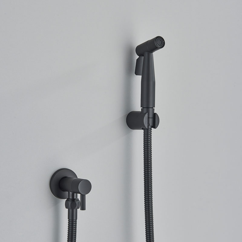 Børstet gull håndholdt toalett bidet sprayer rustfritt stål veggmontert enkelt kaldt toalett bidet dusj hygienisk kran: Burgunder