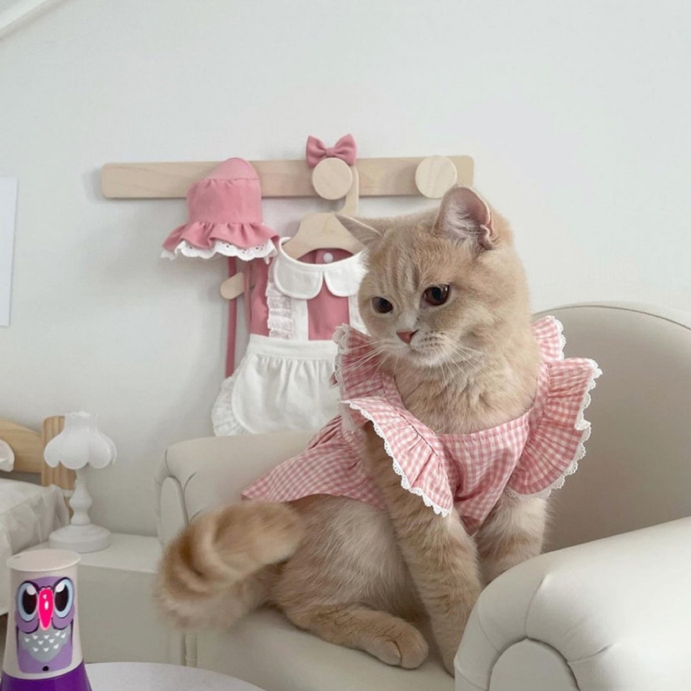 GULULU Sommer Hund Kleid Plaid Spitze Welpen Kleidung für Kleine Hunde Mädchen Rosa Felsen Katze Outfit Haustier Zubehör vestido perro 2022
