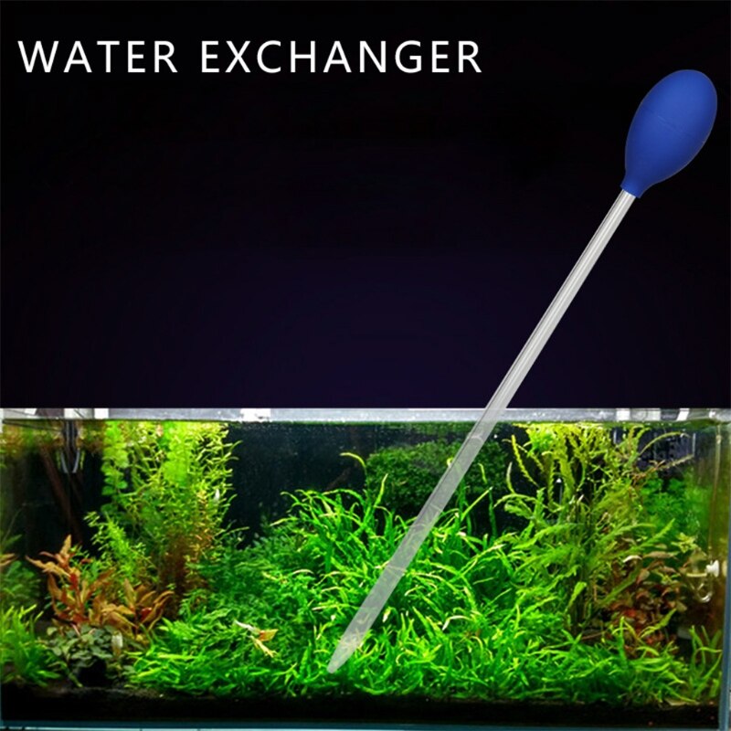 Acrylic Coral Spot Feeder Long Tube for Reef Eels Aquatic Life Feeding Tool Accurate Dispenser Avoid Overfeeding Y5GB