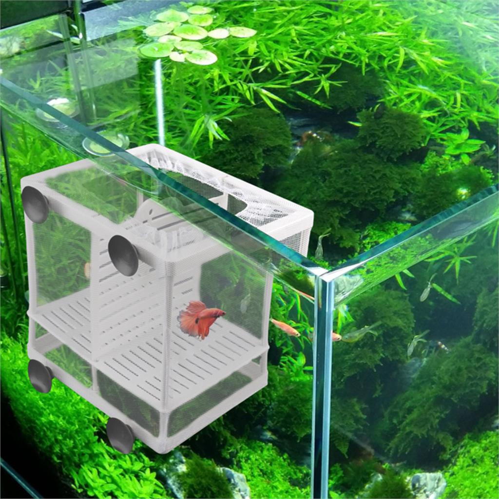Aquarium Fish Breeding Breeder Box Baby Fish Hatchery Isolation Net Fish Tank Incubator Box Hanging Aquarium Accessory Supplies