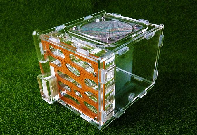 Mini Ant Housing Nest Insect Cage Farms Feed Acrylic Display Box Ant FARM Villa Small Pet Insect Cages