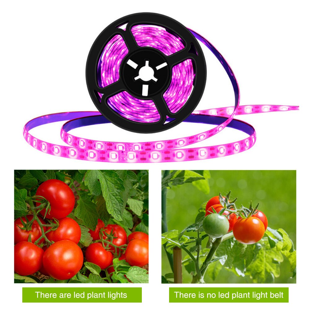 Groeien Licht Strip Led Volledige Spectrum Phyto Lamp Usb 5V 0.5M 1M 2M 3M 2835 smd Planten Bloemen Led Kas Cultivo Hydrocultuur