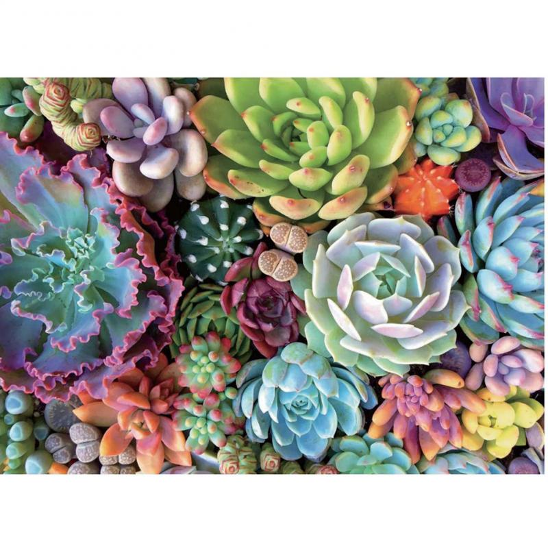 Nuovo Arrivo 1000 Pezzo di Puzzle del Puzzle Arcobaleno Fiori di Piante Succulente Per Adulti Bambini di Assemblaggio di Apprendimento Educazione Giochi Giocattoli