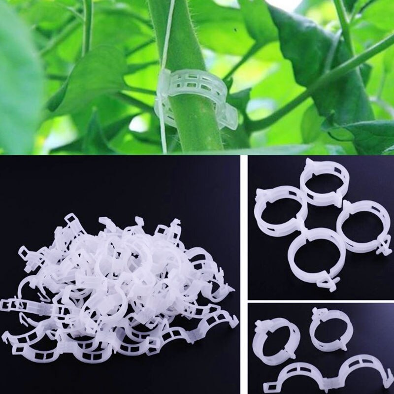 50 stk. plastik plantevinklemmer, der forbinder tomatgrøntsagsklips espalier beskyttelse podning fikseringsværktøj garnplanter