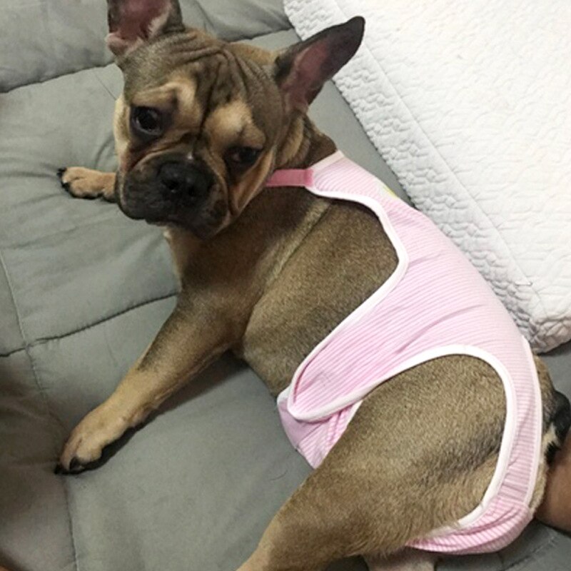 Hunhunde bleer søde kæledyr sanitetsbukser pige hunde bomuld fysiologiske shorts vaskbare trusser undertøj til fransk bulldog