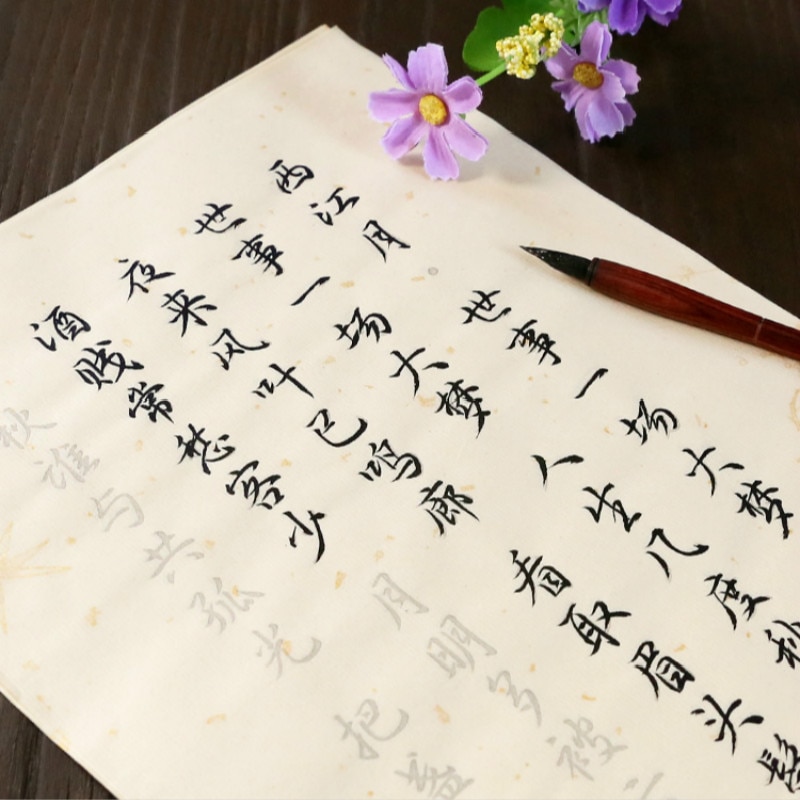 100 Pcs Kalligrafie Copybooks Calligraphie Xuan Papier Gedicht Schrift Beginner Chinese Kleine Reguliere Script Running Script Schrift