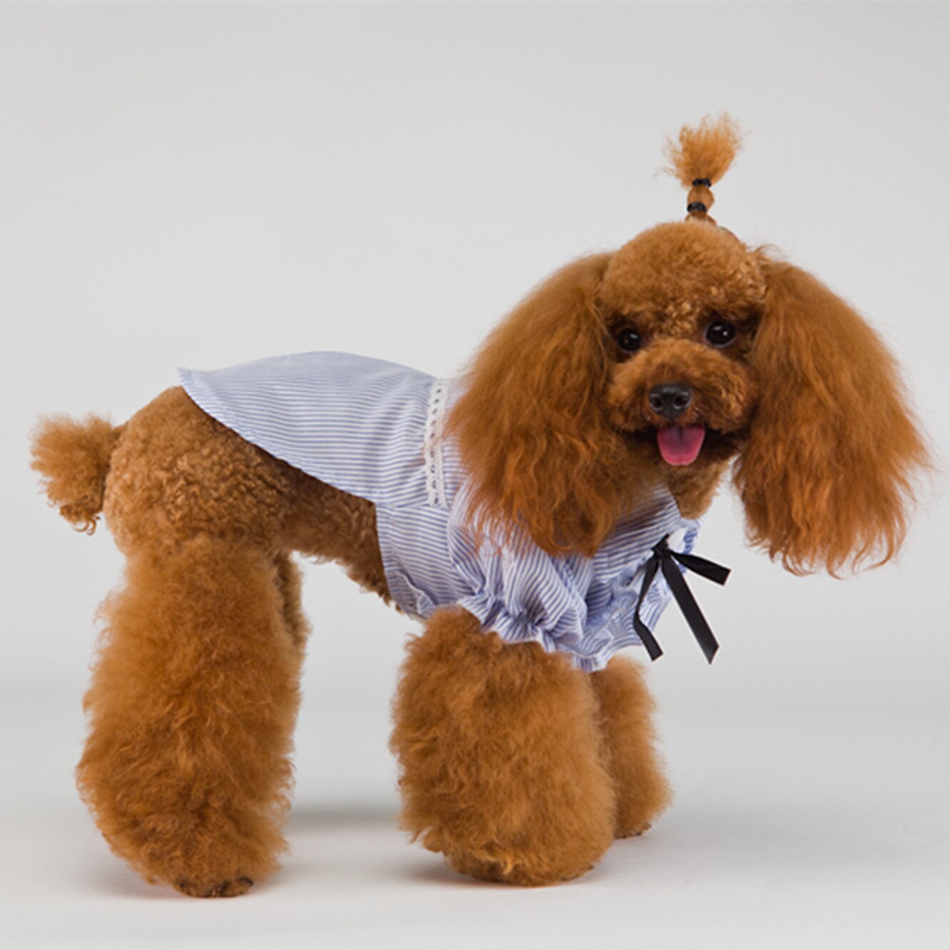 Chemises de luxe à rayures pour chiens et chats, vêtements pour petits chiens, rouge, bleu, à la , printemps été