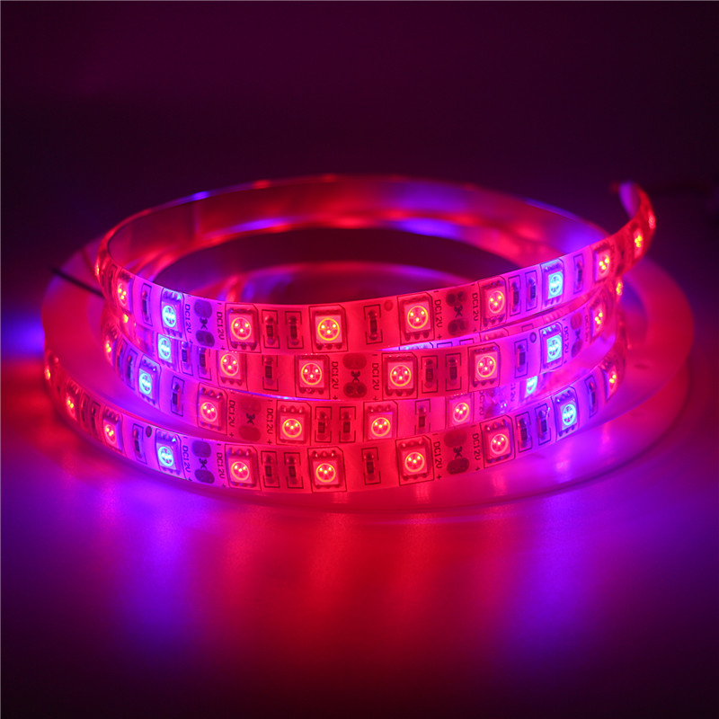 Lámparas LED Phyto para cultivo de plantas, tira de luces LED SMD 5050, CC de 12V, lámparas de luz para crecimiento de plantas hidropónicas de invernadero