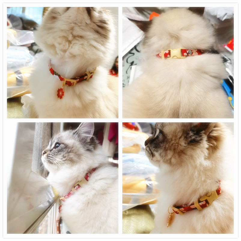 Japonais Sakura chien tour de cou gravé paillettes chiot chat collier pendentif collier pour animaux de compagnie accessoires pour animaux de compagnie patte