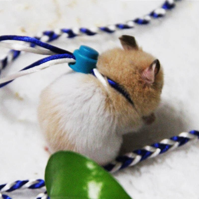 Arnés para Hamster cuerdas arnés Collar de guiar ajustable Animal PEQUEÑO herramientas para jaula correa de hámster 2M productos para mascotas ratón Suministros 1 Uds