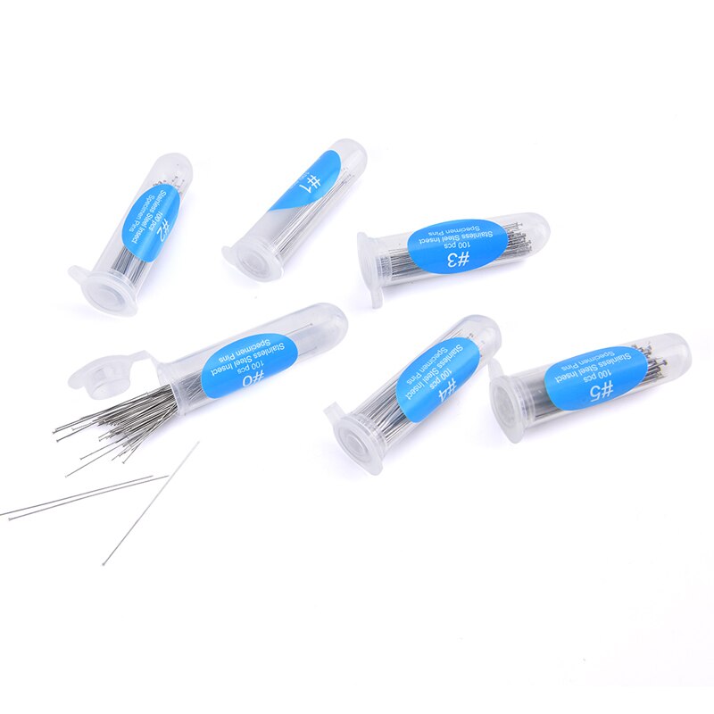 100Pc Insect Pin Specimen Needle Stainless Steel With Tube For School Lab Entomology Body Dissection Insect Needle