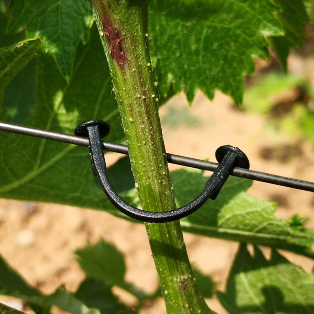 100Pcs/Lot Plants Bundled Lashing Hook Garden Accessories Fixed for Vegetable Strapping Of fruit Vines Climbing Support