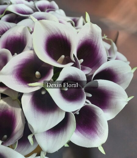 Calla Lilies Natural Real Touch Flowers Picasso Purple White Calla Lily For Wedding Bouquets Centerpieces: Classic Picasso
