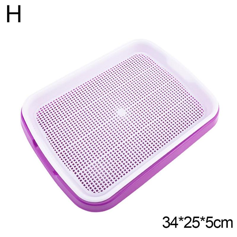 Plateau de semis à Double couche, Pots de plantation de semis d'herbe de blé de pois, plats plats, plateau de croissance de Germination, plateau de pépinière de Germination D9N2