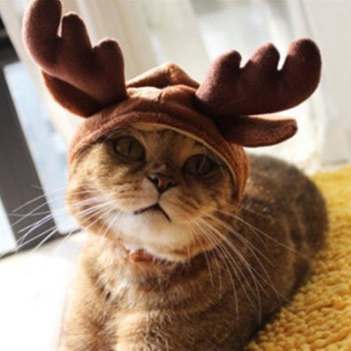 Xmas hat kæledyr hund kat jul hovedbeklædning jul elg rensdyr gevirer pandebånd hat tøj