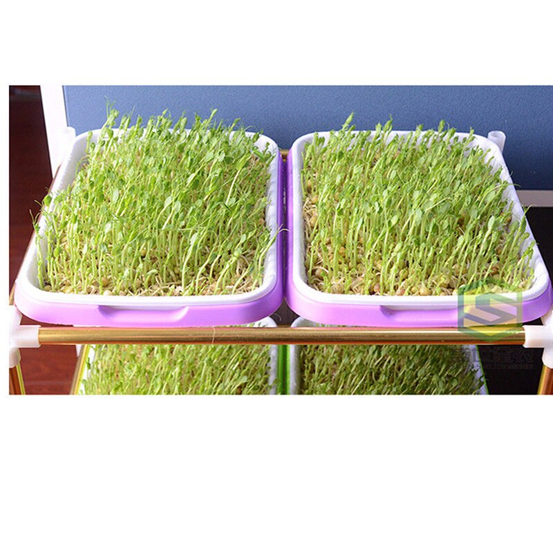 Bean Sprouts Hydroponic Double Layer Tray Growing Vegetables Seedlings Garden Nursery Pots Tray Planting Sprouts Starter Tray