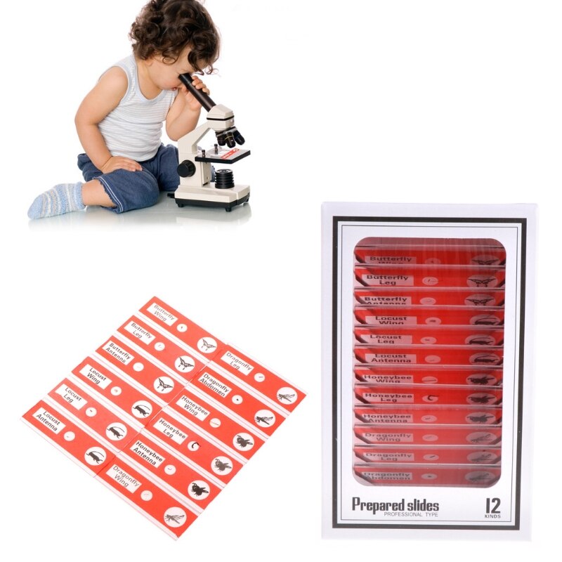 48 Pcs Prepared Microscope Slides Specimen Animals Insects Plants Flowers Sample