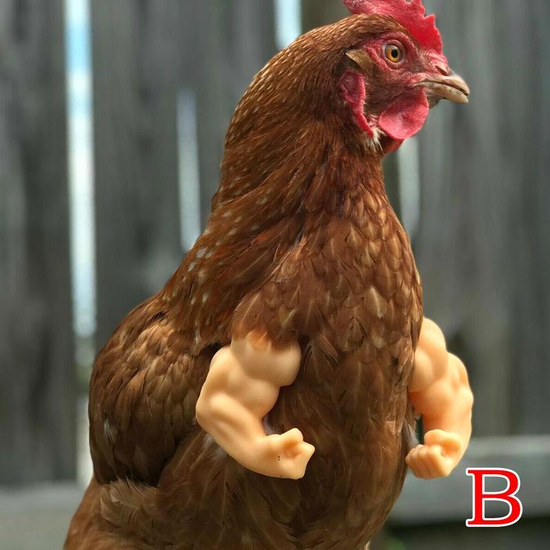 Bras de poulet solides pour le poulet, pour porter des costumes, jouets de décoration, produits amusants pour animaux de compagnie: B