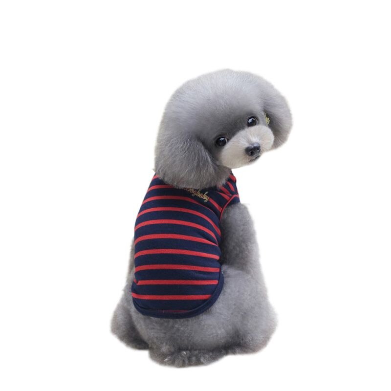 Welpen Hund Streifen Weste Spitzen Sommer Haustier Hund Katze Bluse Baumwolle Panzer Shirt Bekleidung: verrotten / M