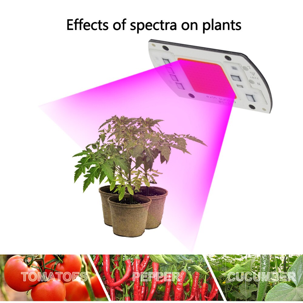 1Pcs Led Chip Ac 220V 20W 30W 50W Cob Led Grow Light Chip Volledige Spectrum 370nm-780nm Voor Indoor Plant Zaailing Groeien En Bloem