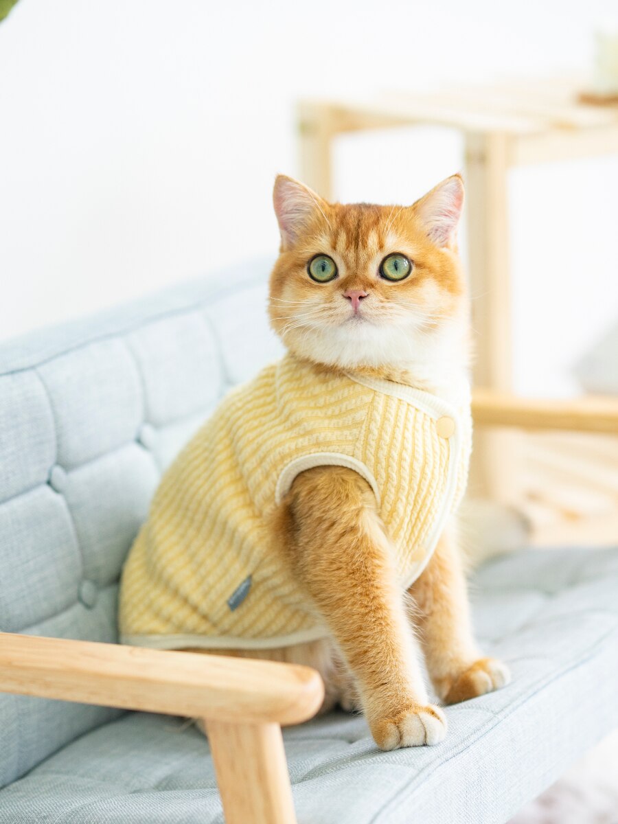 Kat Kleding Haarloze Kat Kleding Winter Verdikking Warme Sphynx Kat Kleren Thuis Comfortabele Winter Kleding