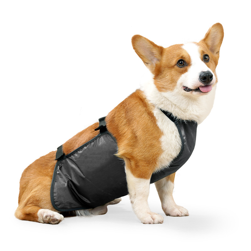 Carlin Corgi animal de compagnie chien Bellyband vêtements imperméable respirant Anti ventre couverture bavoir poche chien Costume Corgi Bellyband gilet: XXXL / Black