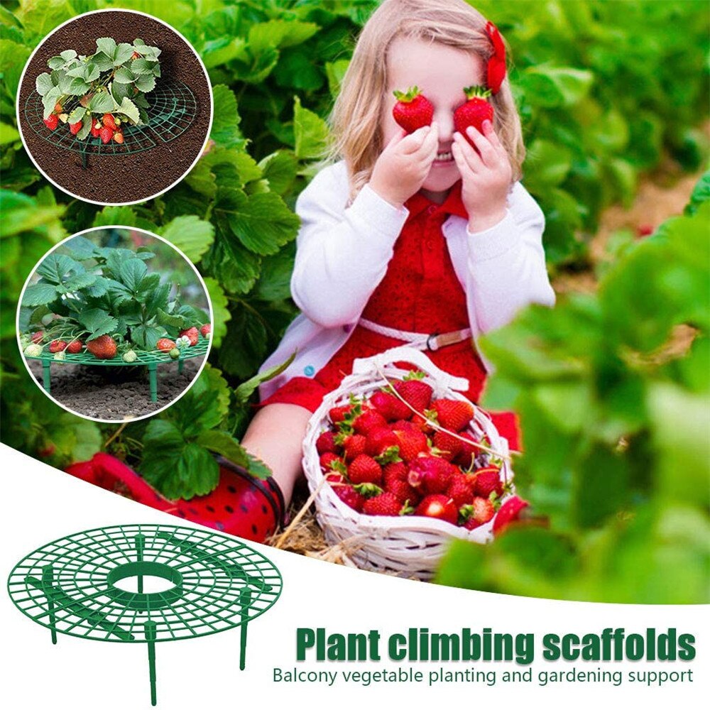 1PCS Strawberry Stand Balcony Vegetable Rack Garden Frame Planting Rack Fruit Support Plants Climbing Vine Pillar Stands Tools