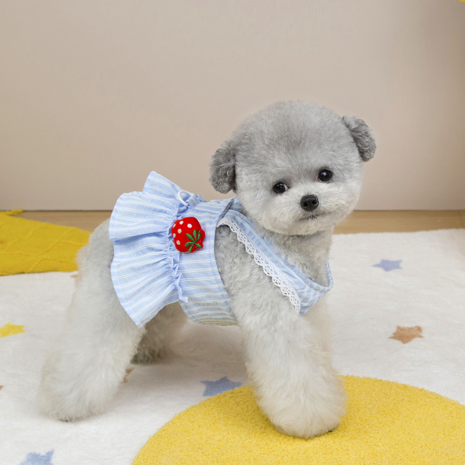 Stripete stroppekjole for kjæledyr vår/sommer katteklær jordbær hundeklær for små hunder valpesele hundekjole: Xxl / Blå