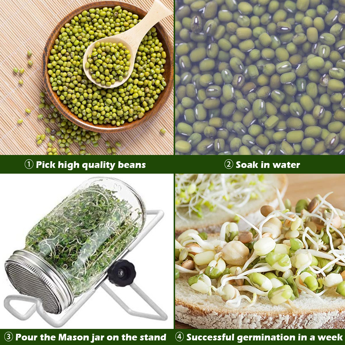 Couvercle de Germination de germes de graines en acier inoxydable, couvercle de bidon de germes de graines lavable à large bouche, écran de bocaux Mason pour cultiver des haricots, 1/2 pièces