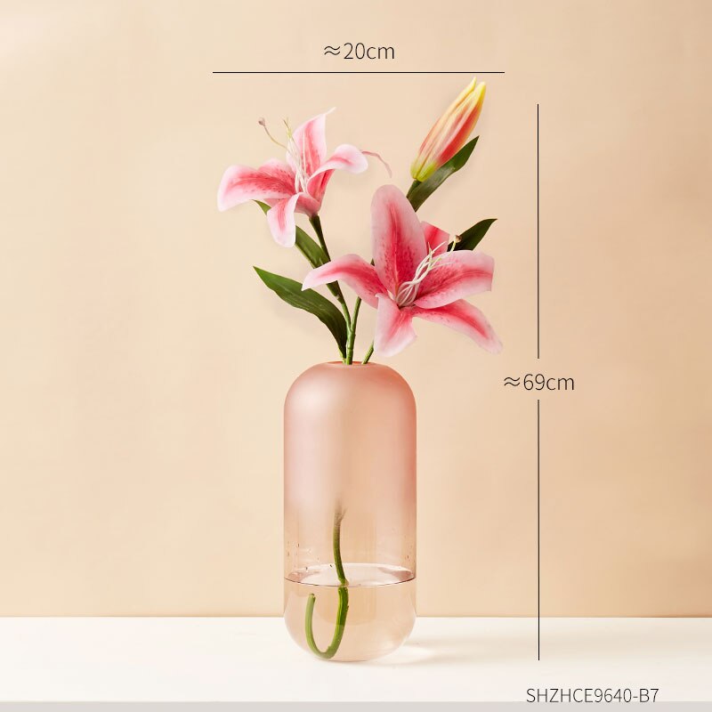Eenvoudige decoratie van gematteerde glazen vazen, transparante vazen, scandinavische interieurdecoratie, inzetstuk voor thuis, bloemenknutsels