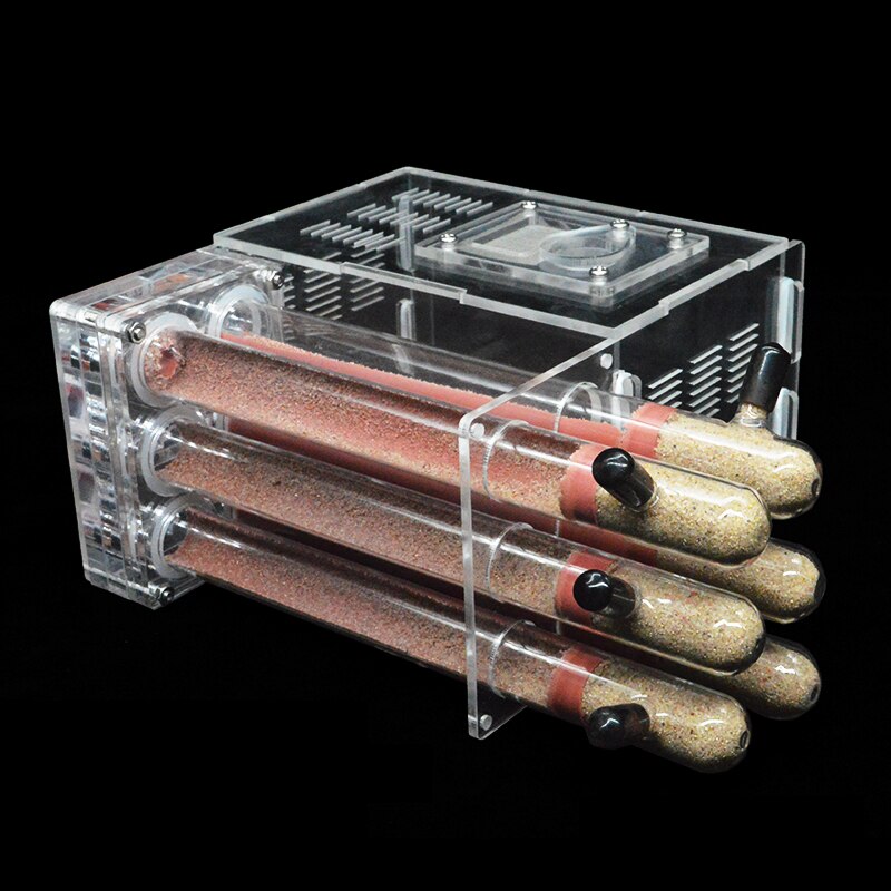 DIY Acrylic Ant Farm with Feeding Area 6 Plaster Tubes Ants House Ant Nest Insect Workshop Pet Anthill