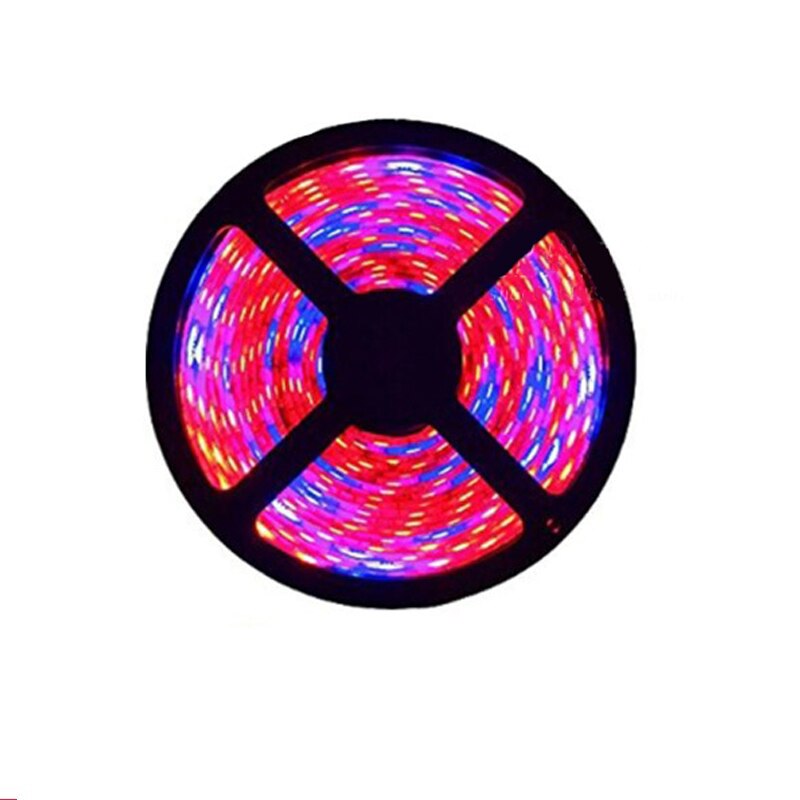 5m led grow light strip fuld spektrum uv lamper til planter vandtæt phyto lampe rød bluetape til drivhus grow telt hydroponic: Kun strip ingen strøm / Vandtæt  ip65 / 4 røde 1 blå