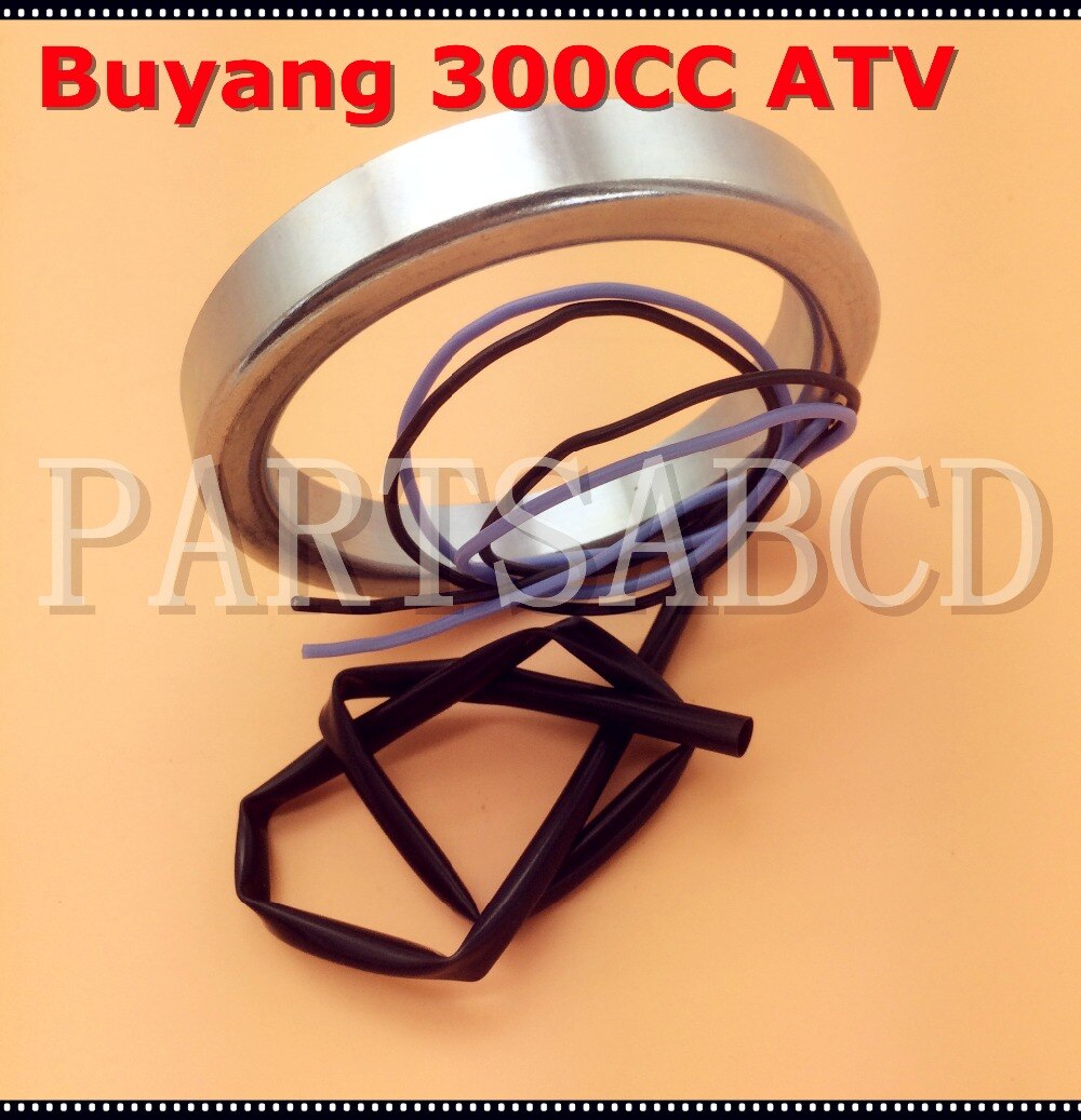 Buyang Feishen 300CC ATV Quad Coil 3.4.01.0210 ATV Onderdelen