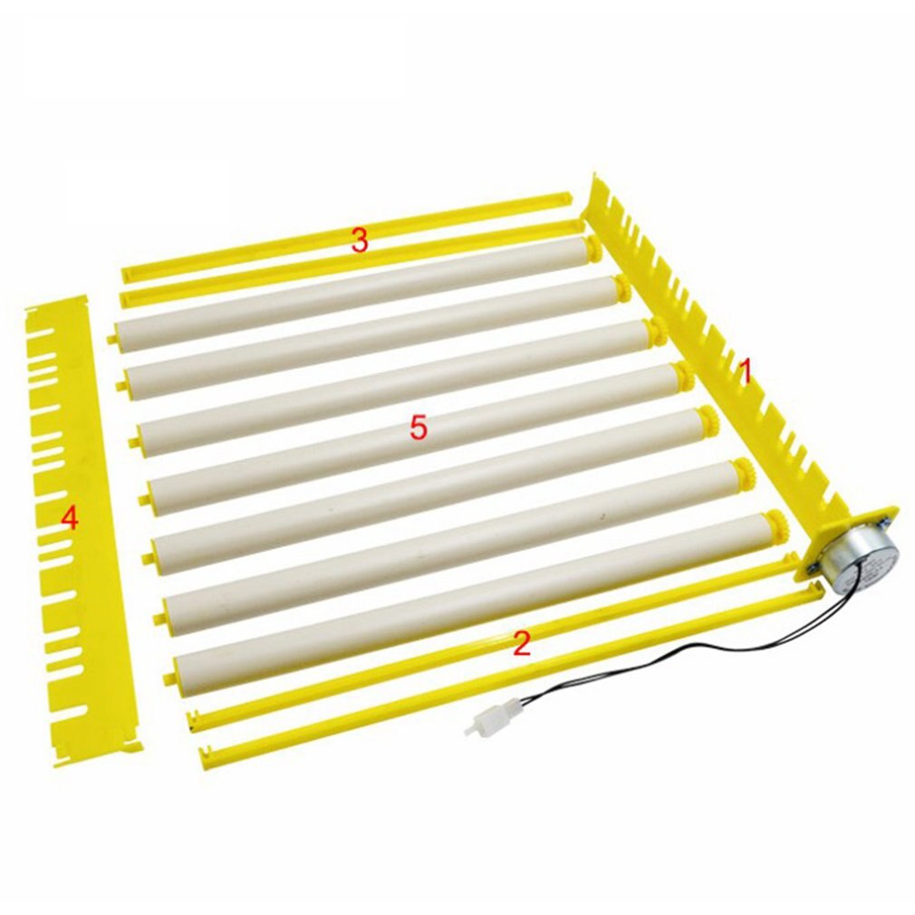 Accessoires pour incubateur d'œufs en plastique, plateau à œufs rotatif automatique et Durable