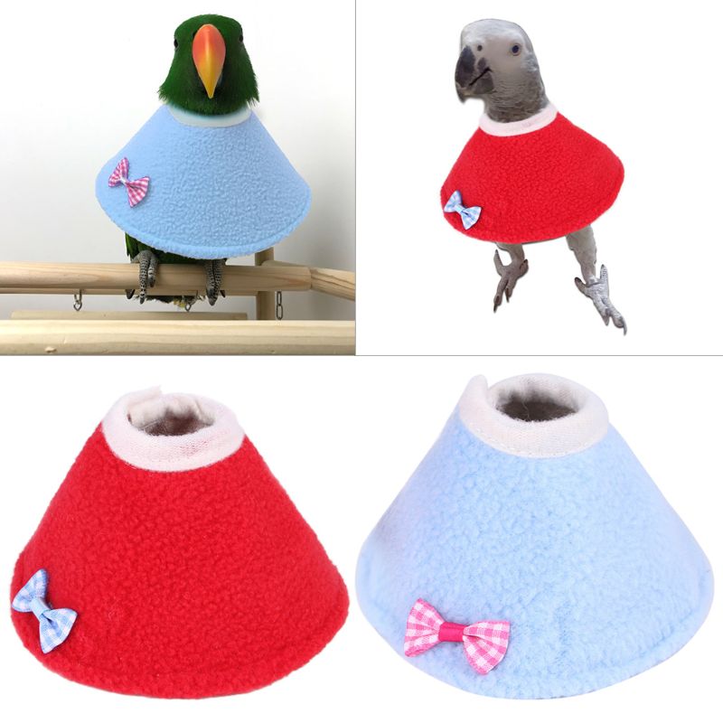 Collar de loro con cuentas protectoras para pájaros, anillo antipluma para recoger, y antiagarre antidesplume, Collar informal para roedores y pájaros