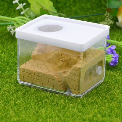 Ecological Plaster Ant Farm square Nest Landscaping Ant House Ant Nest Workshop Pet Anthill Insect Box 10.3*7.6*7.5cm: yellow