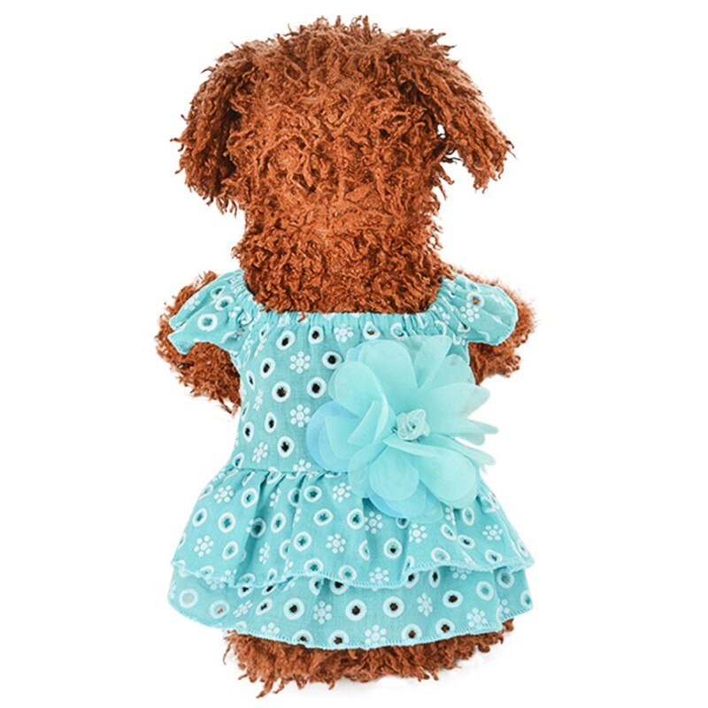 Ropa para mascotas primavera pequeño perro falda delgada sección romántica onda punto gasa falda verano perro encaje princesa vestido