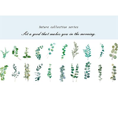 40 unids/bolsa de pegatinas de papel para decoración de plantas y flores naturales, pegatinas para decoración de álbumes de recortes: 01