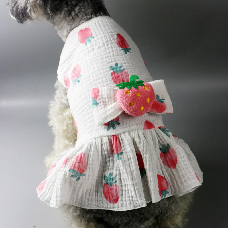 Couple porter chien Costume mignon 3D fraise chien robe et T-shirt été pur coton chiot vêtements pour animaux de compagnie pour petits chiens Chihuahua