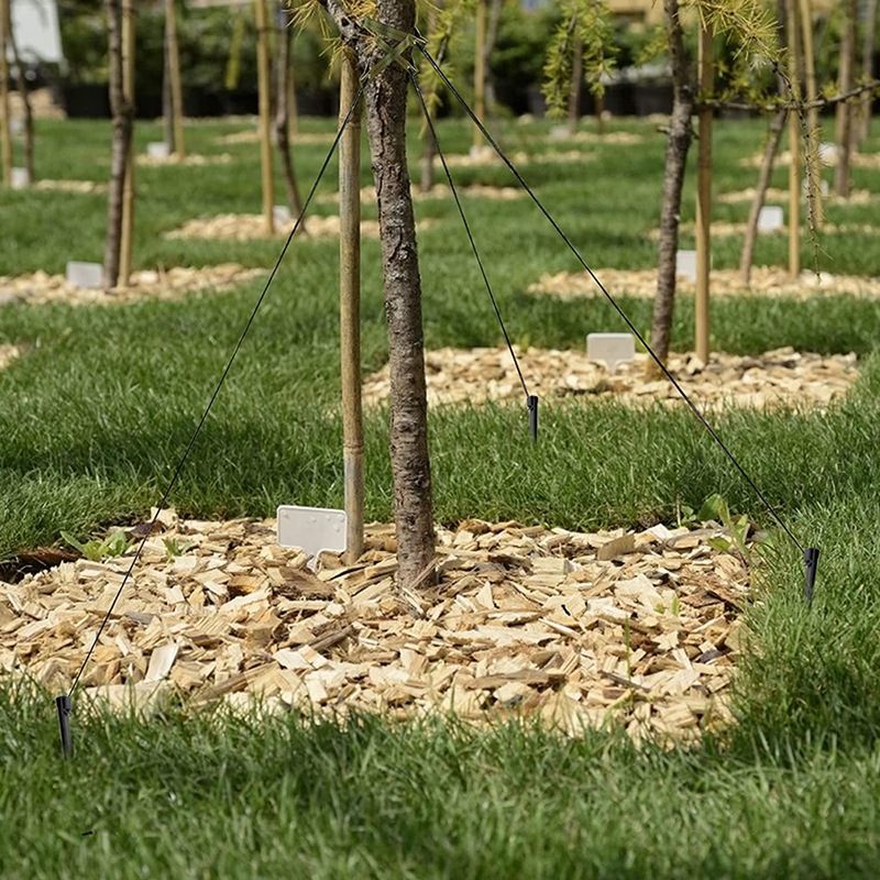 Practical 31 Pcs Tree Stake Kits,Anchoring Tree St... – Grandado