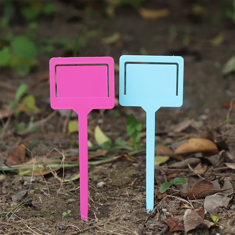 20 stuks tuinlabels, plastic plantenbak, zaadlabel, marker, t-vormige kweekpotten, insteekkaart, waterdichte labels, kasgereedschap