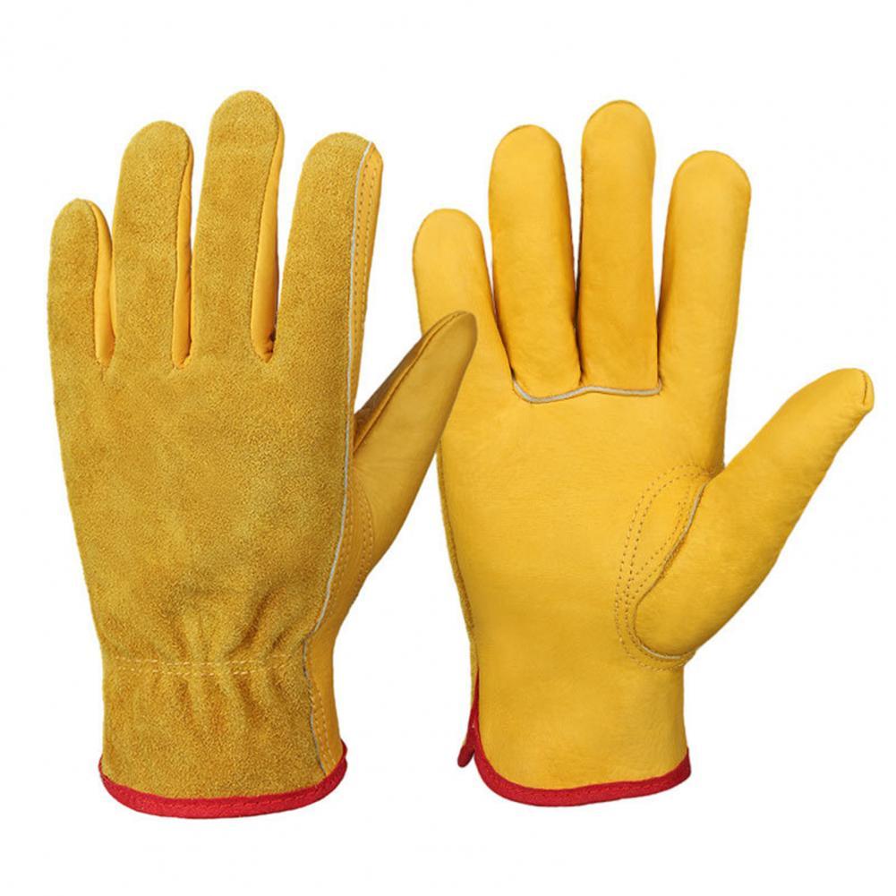 Gants vinyle non poudrés à manchette longue Polysem