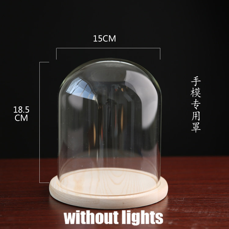 Tabletop Display Glass Cover Terrarium Container Decor Dry Flower Ornaments Craft Bell Jar Wood Base with Feet LED Light Holder: Brown