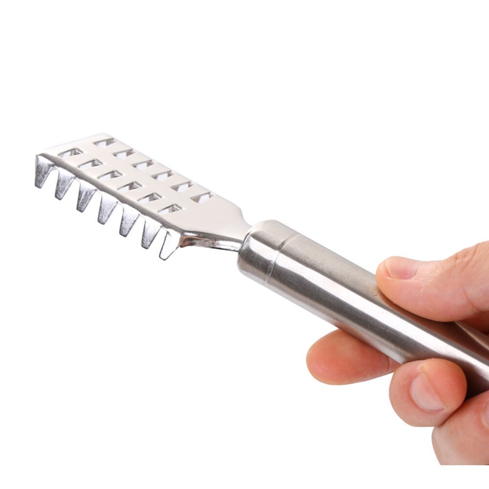 Fish Scale Remover Scraper Cleaner Kitchen Tool Peeler Scraping Fish Cleaning Tool Fish Cleaning Knife Skinner Stainless#0826y30: Default Title