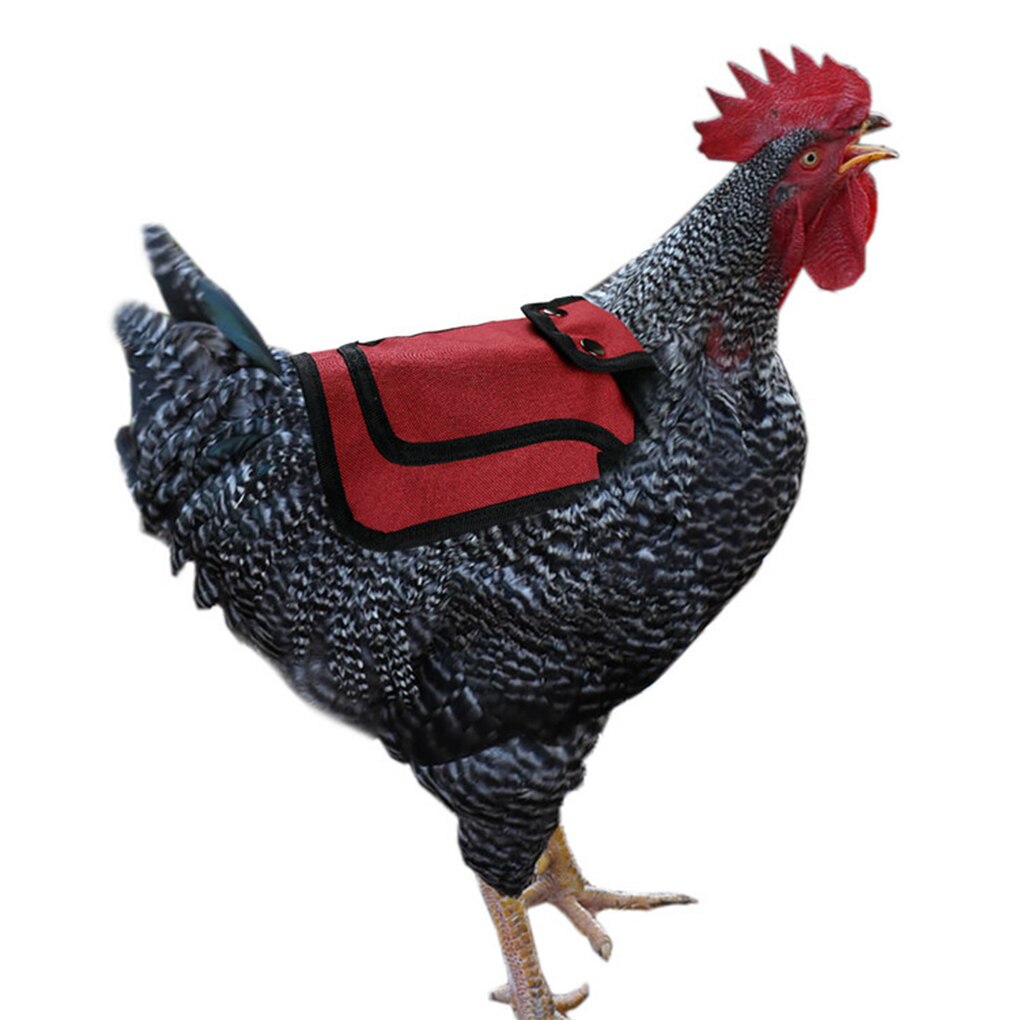 Pack von 2 Huhn Sattel Universal- Oxford Tuch Hühner Schutzhülle Schürzen Zurück FlüGel Feder Wachstum Schutz Zubehör
