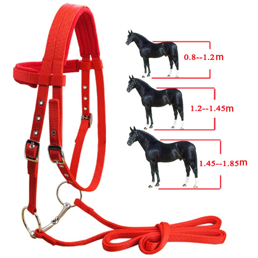 Thicken Protective Soft Sports Bridle Riding Equipment Adjustable Strap Horse Halter With Bit Throat Snap Winter Rein Belt