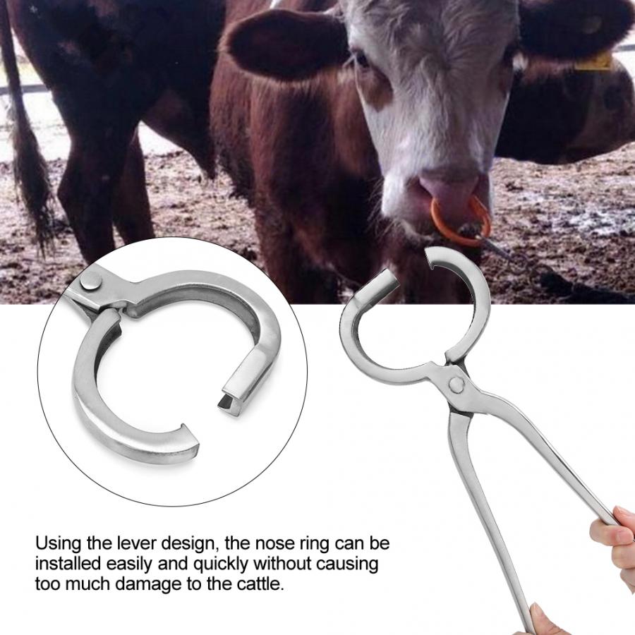 Pince à Nez Pour Bétail En Acier Inoxydable - Avec Chaîne Et Crochet, Tête Arrondie, Sécurité élevée Pour Vaches Et Taureaux - 4