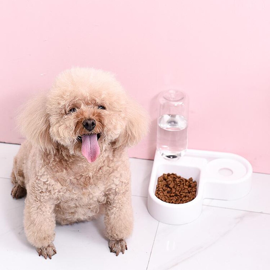 Vand tyngdekraften til kæledyr - automatisk påfyldningsskål til påfyldningsvand og madskål til kattehunde - forhindres i våd mund