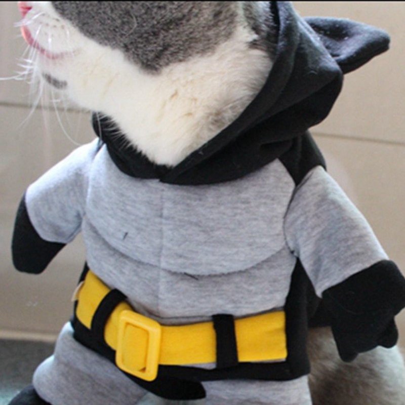 [MPK Store] , Muscular-Bat Cat Costume, 5 Sizes Available