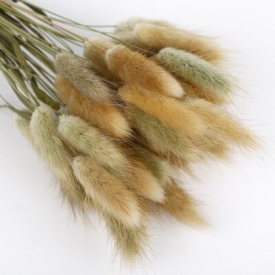 Bronzing vase pampas tørkede blomster kanin hale gress svart hvit reagens flaske vase fabrikk: 100 naturlige